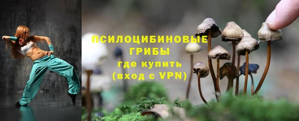 ПСИЛОЦИБИНОВЫЕ ГРИБЫ Алзамай