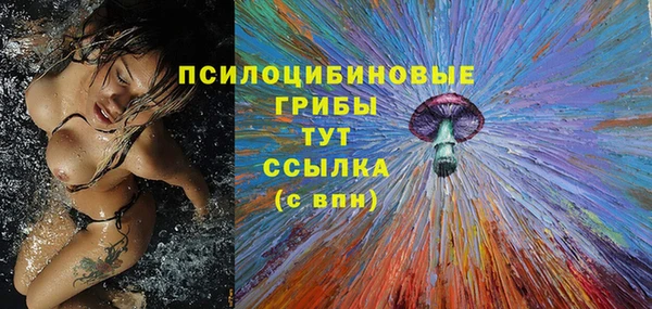 соль курить ск Алексин