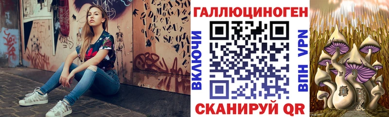 Галлюциногенные грибы Psilocybine cubensis  omg зеркало  Вихоревка 